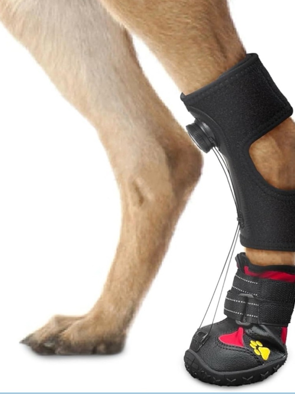 Drop Foot Brace with Reel(No Knuckling Boot Brace) for Dog (small)